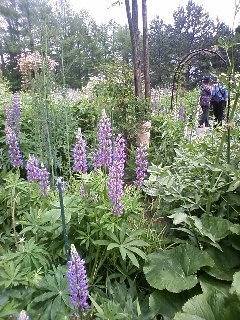 110630_103253.JPG
